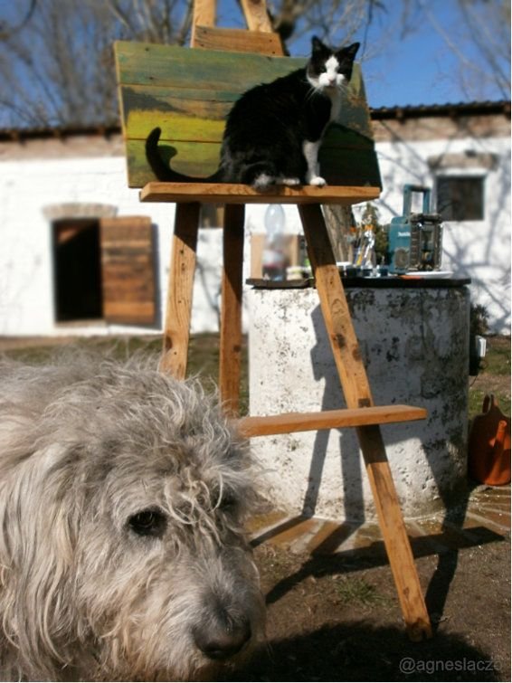 agnes laczo art painting photography animals funny cute artist grafikus festo illusztrator mese.jpg