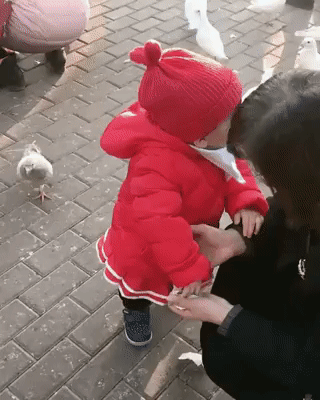 A piece of cake ) - Imgur.gif