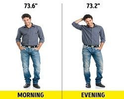 taller in the morning.jpg