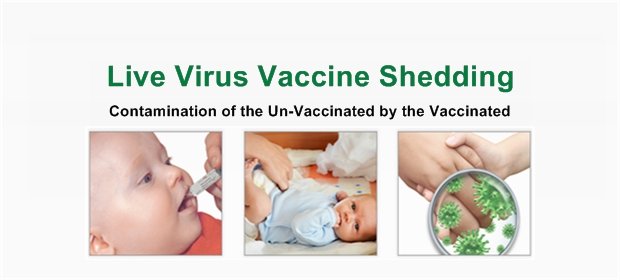 Live-Virus-Shedding.jpg