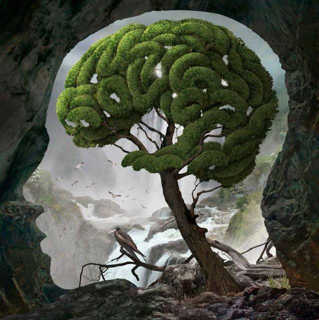 nature-mind.jpg