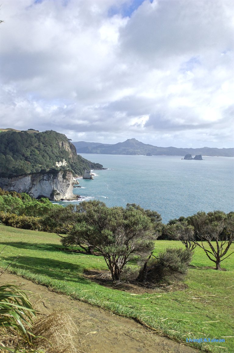 nz6_08.jpg