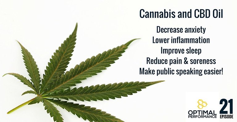 Benefits-of-Cannabis-and-CBD-Oil.jpg