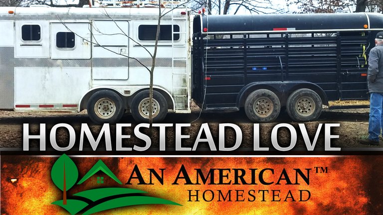 homesteadlove.jpg