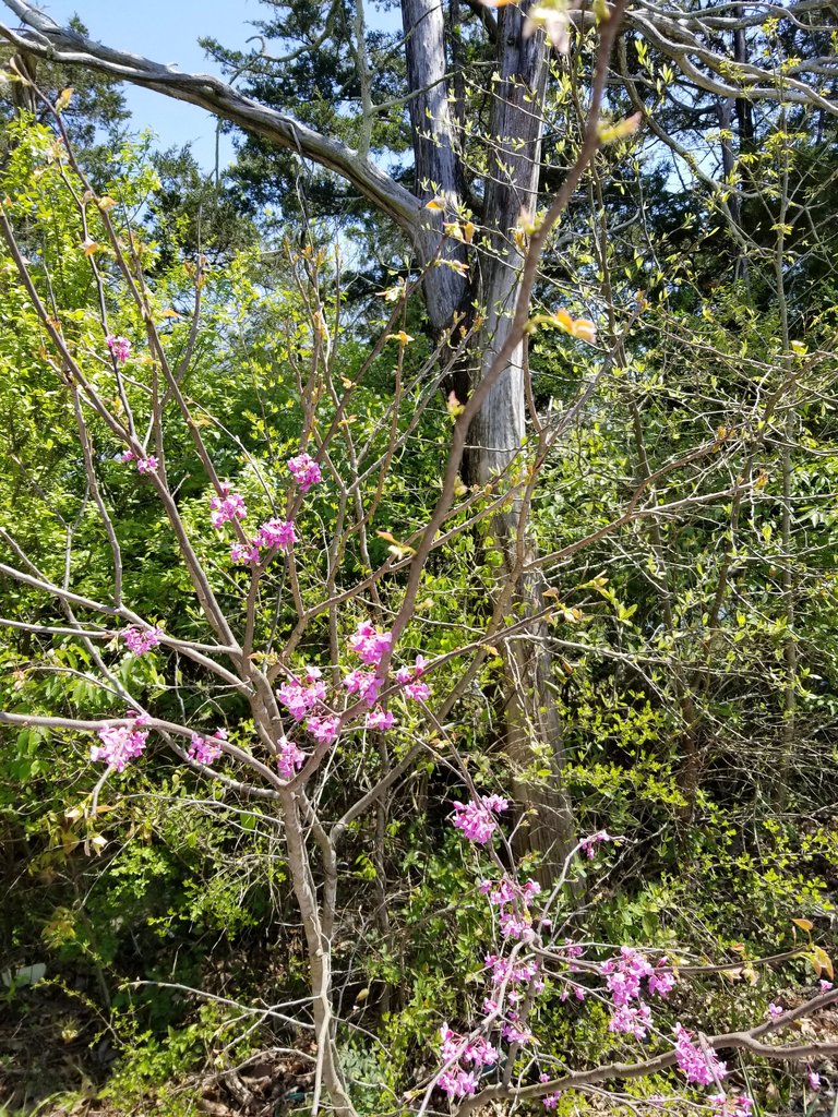 20180417_125958.jpg