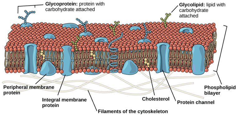 Figure_04_03_02.jpg