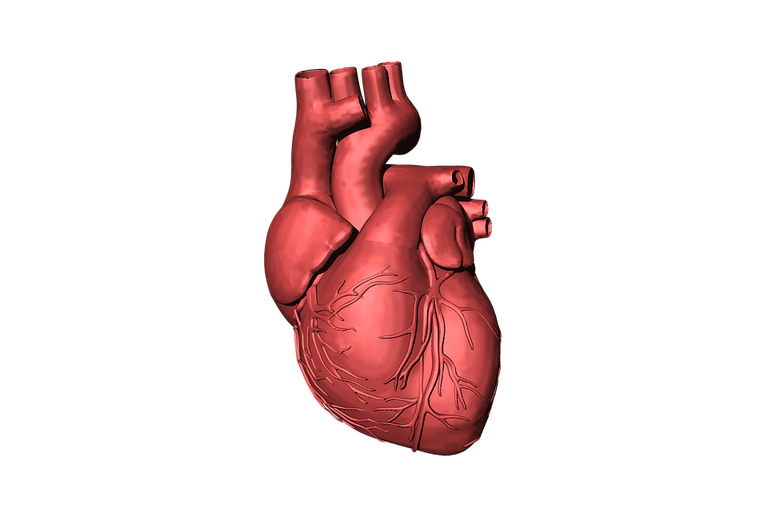 heart-1765298_960_720.png