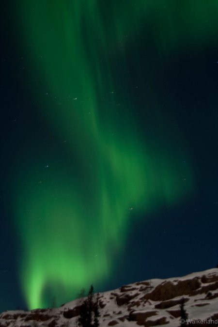 aurora-1.jpg