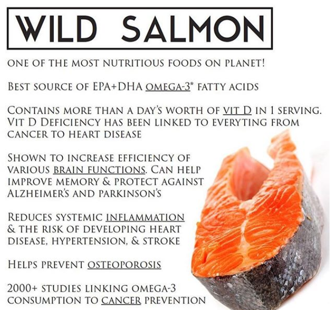 salmon.png