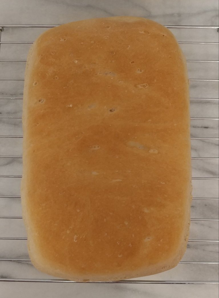 bread2.jpg