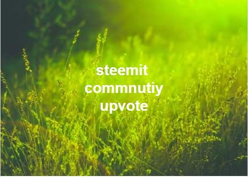 steemit.JPG