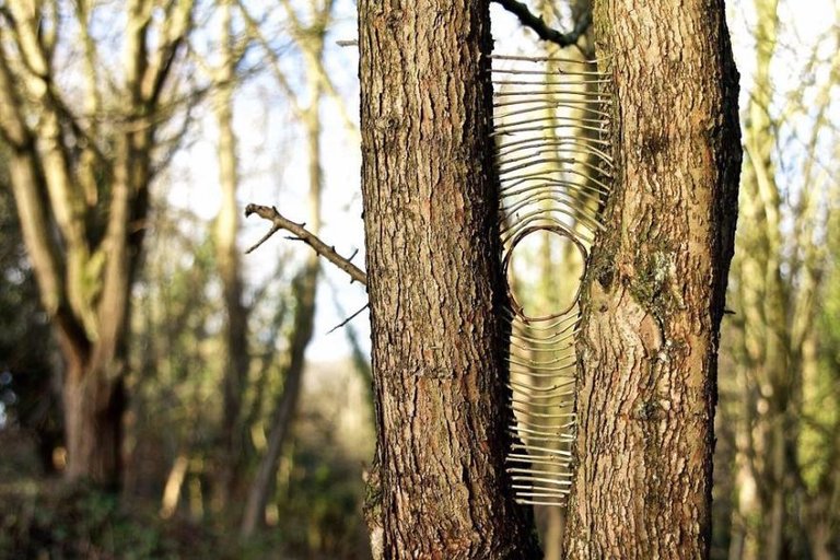 james-brunt-natural-materials-land-art-england64-5a7d9558a1783__880.jpg