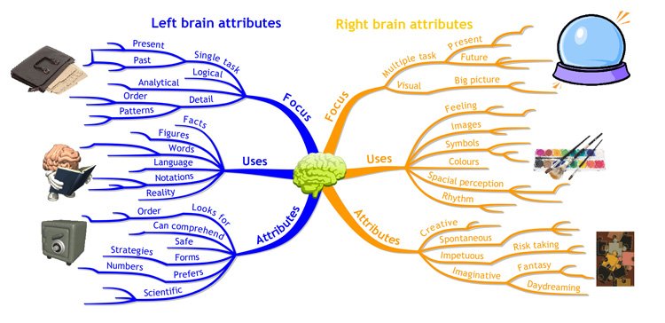 left-brain-right-brain-mind.jpg