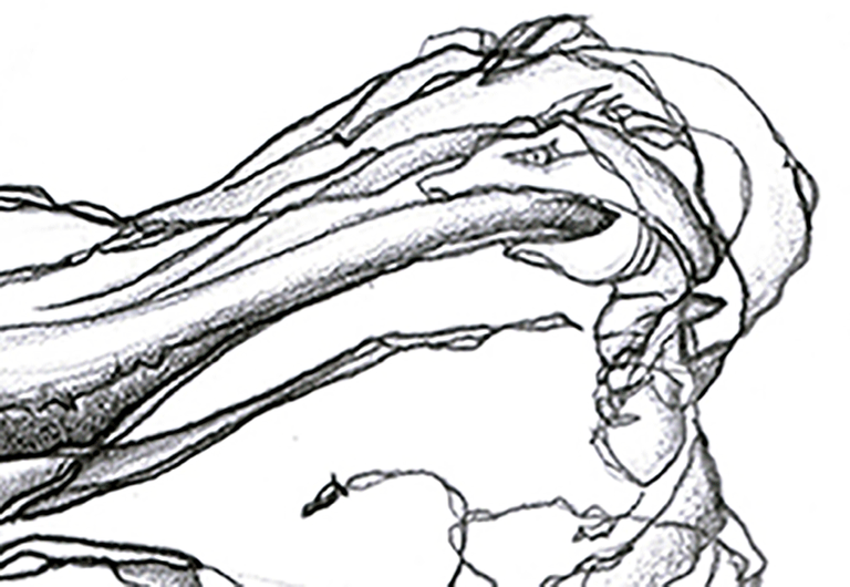 disegni_2_libro_penna_particolare_carlo_varchetta_grovigli_astratto_firmato.png