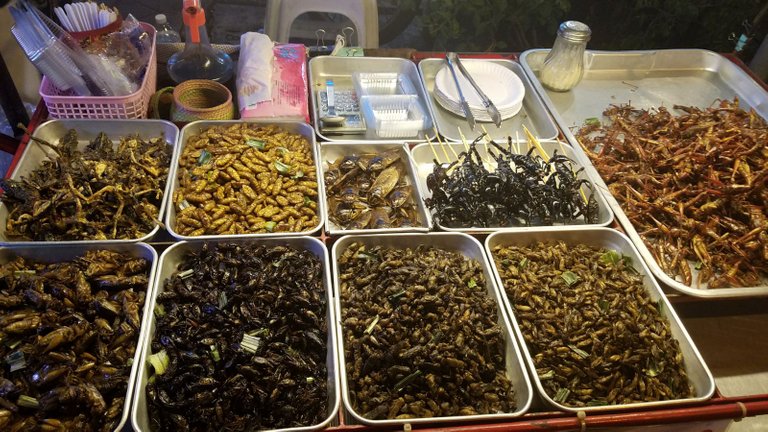 fried-bugs-bangkok.jpeg