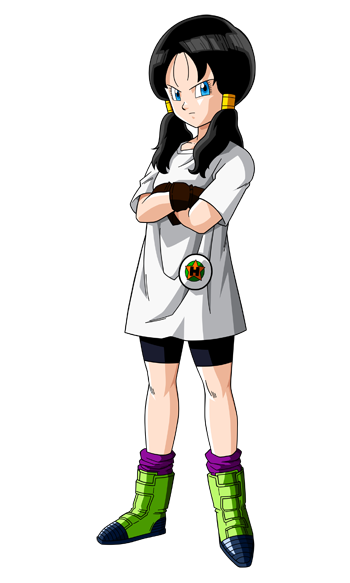 Videl-1.png