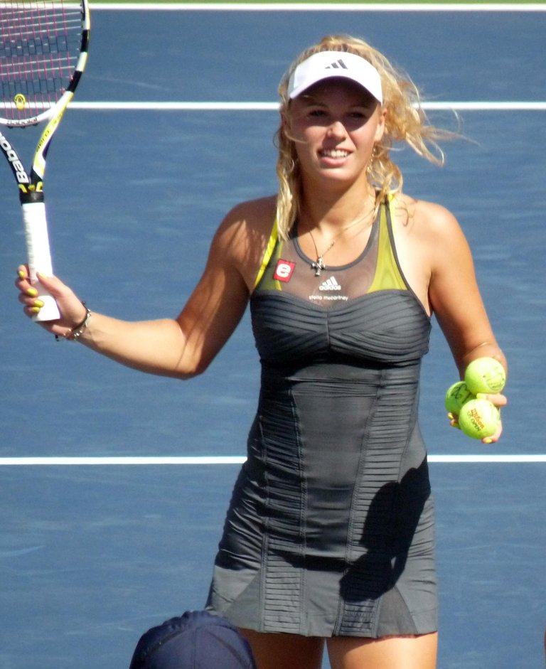 Wozniacki_US_Open_2010.JPG