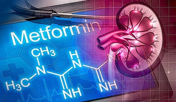 Metformin Kidney Disease_YaleNews.jpg