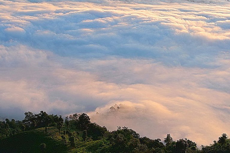 Bandarban_Nilgiri.jpg