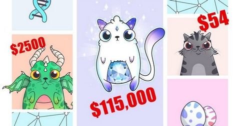 cryptokitties.jpg