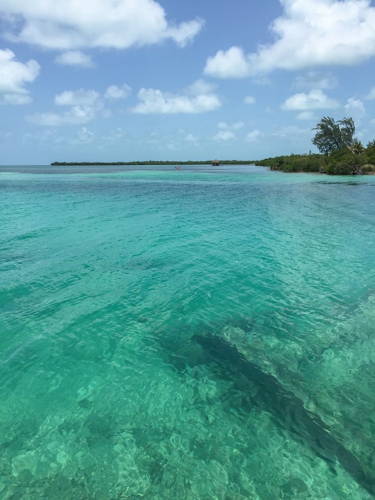 Caye Caulker water