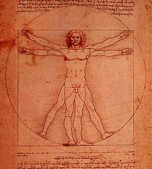 vitruvian-300-333.jpg