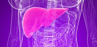 liver-transplant_332x163_br534e.jpg