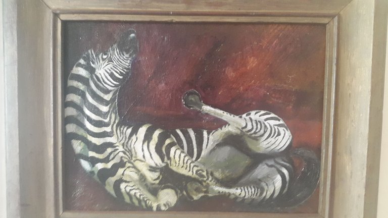 zebra.jpg