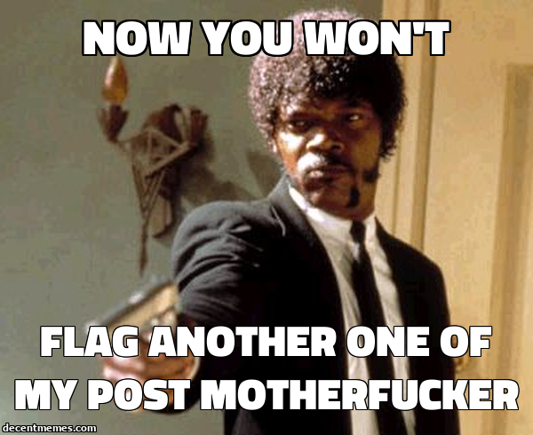 flag_another_one_of_my_post_motherfucker.jpg