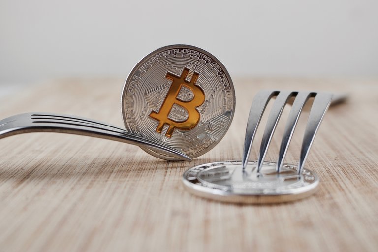 bitcoin_fork_06-29-2017.jpg