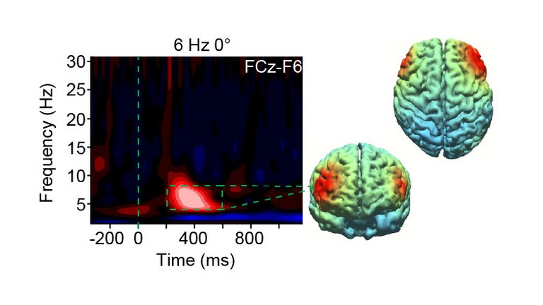 New-Research-Could-Lead-to-Tools-to-Enhance-Brain-Function.jpg