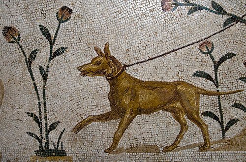 mosaic-tunis.jpg