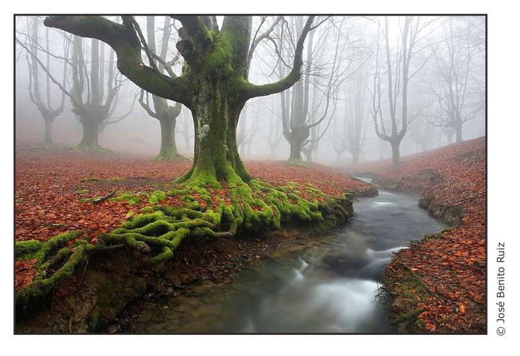 conferencia-jose-benito-ruiz-fotografia-naturaleza.png