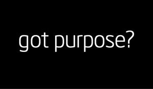 gotpurpose300x175.jpg