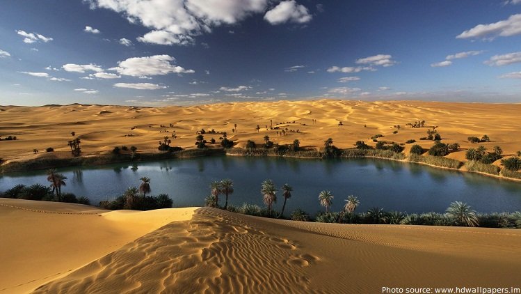 sahara-desert-oasis.jpg