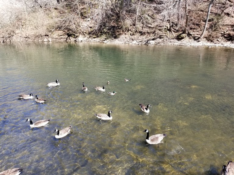 20180331_142524.jpg