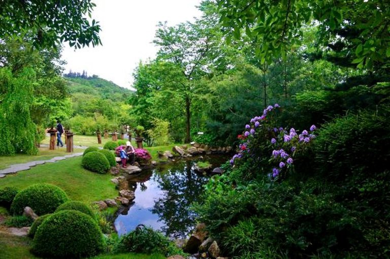 prague-botanic-japanese-garden-resize_troja-botanic-garden-japanese-greenery-and-pond.jpg