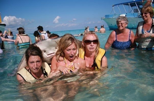 best-stingray-photobomb-ever-resizecrop-.jpg