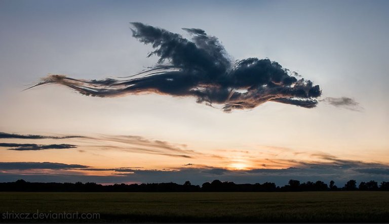 a dragon on the clouds.JPG