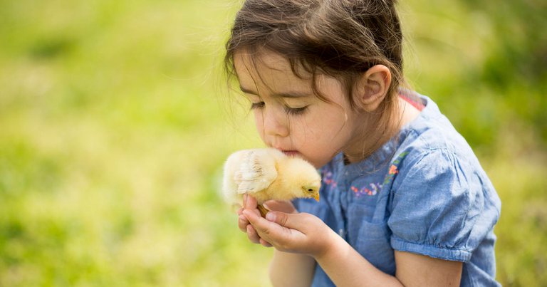 girl-snuggles-with-baby-chick.jpg