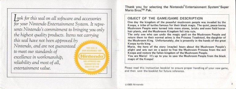 Mario Manual.jpg