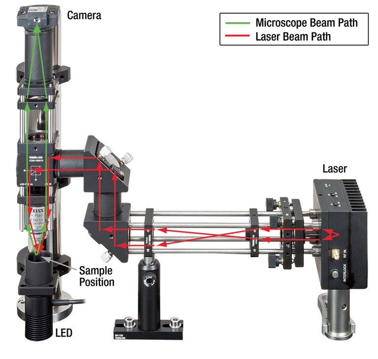 Optical_Tweezers_Education_A2-1000.jpg