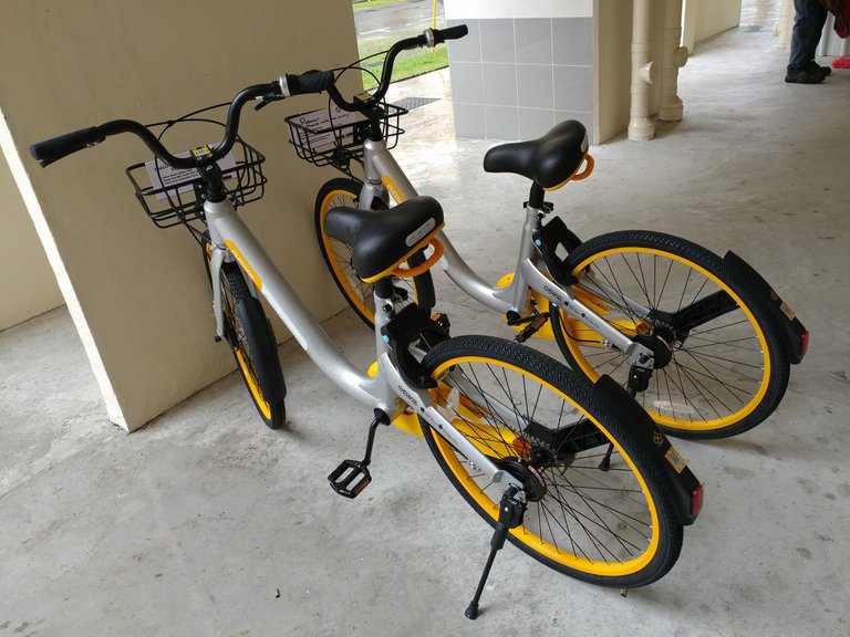 obike 4.jpg