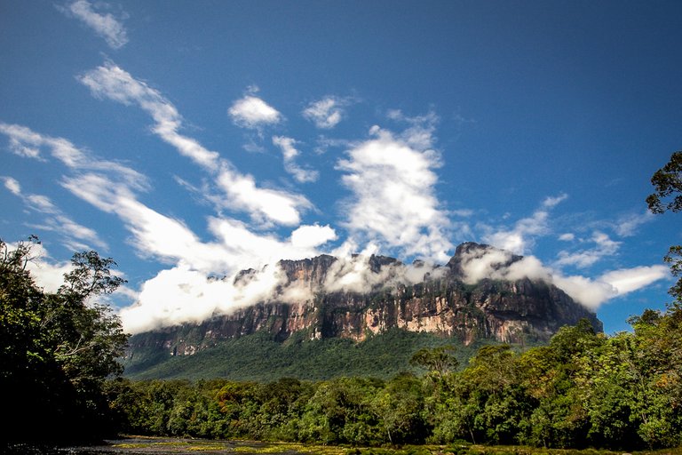 Canaima_0874.jpg