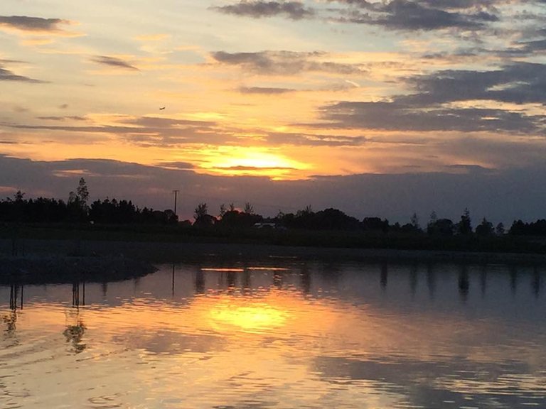 Sonnenuntergang Weiher 4.jpg