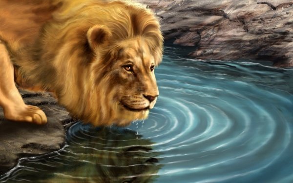 lion-600x375-1-600x375.jpg