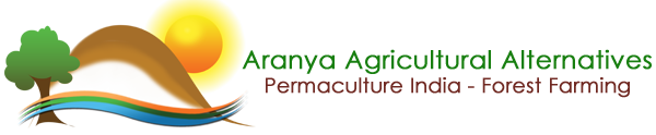 logo Aranya(1).png