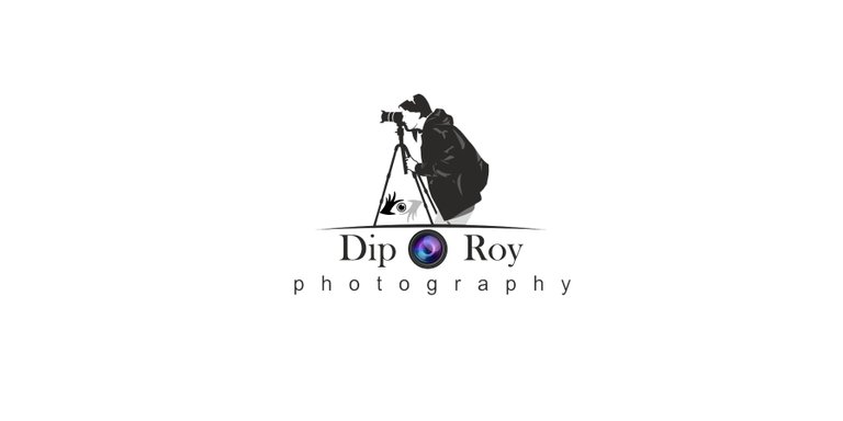 Dip Roy Photography LoGo.jpg