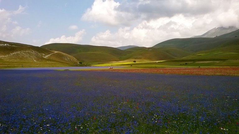 castelluccio.jpg