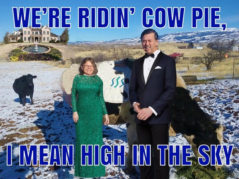 sky cow pie.JPG